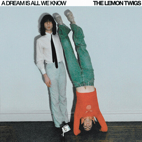 The Lemon Twigs: A Dream Is All We Know - VINYL LP