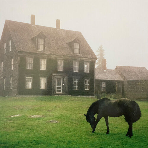 Lutalo: The Academy - VINYL LP