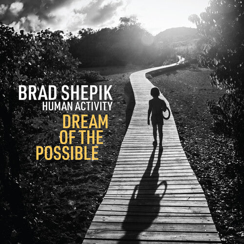 Brad Shepik: Human Activity: Dream of the Possible - COMPACT DISCS
