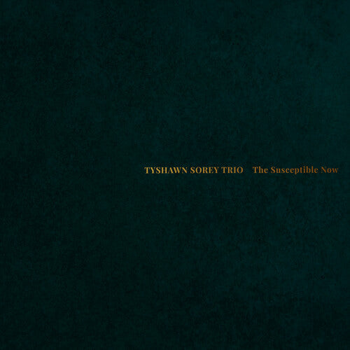 Tyshawn Sorey Trio: The Susceptible Now - COMPACT DISCS