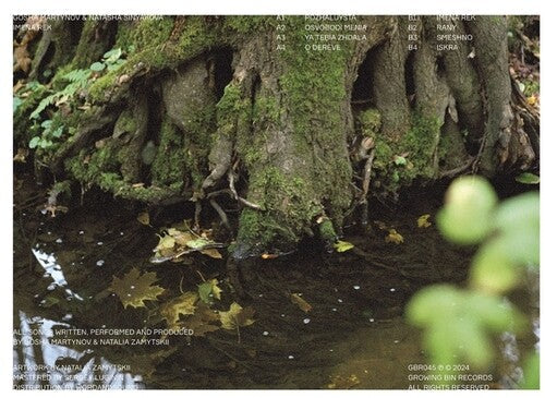 Gosha Martynov: Imena Rek - VINYL LP