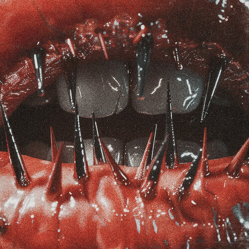 Saltwound: The Temptation of Pain - COMPACT DISCS