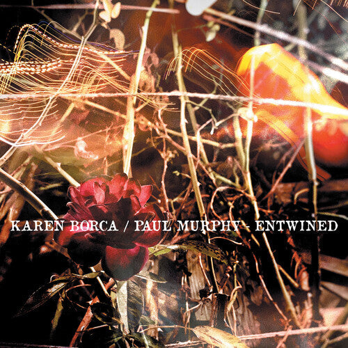 Karen Borca: Entwined - COMPACT DISCS