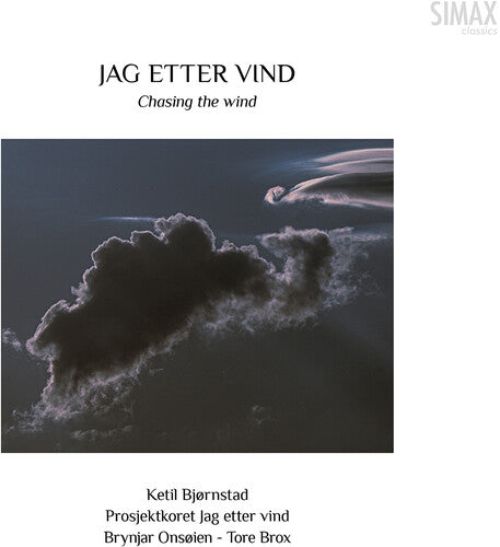Ketil Bjornstad: Bjornstad: Chasing the Wind - COMPACT DISCS