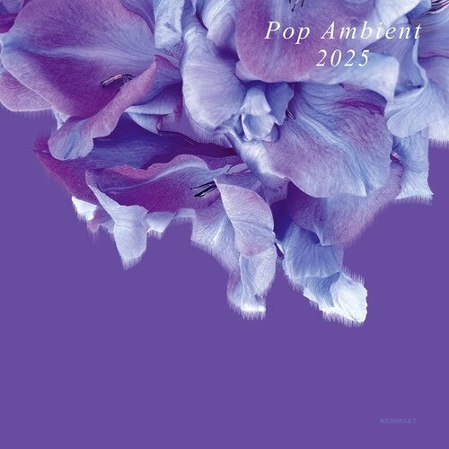 Various Artists: Pop Ambient 2025 - VINYL LP