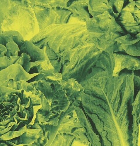 Lettuce: Monorail 3000 B/w Star Children - 7-INCH SINGLE