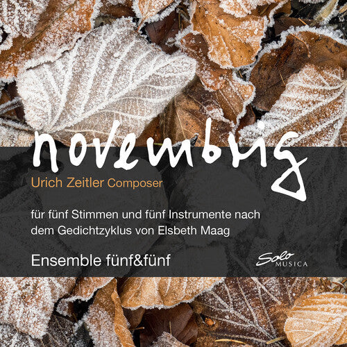 Julia Zischg: Novembrig - COMPACT DISCS