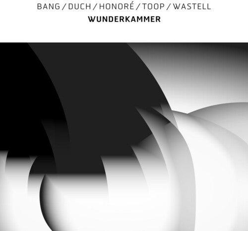 Bang / Duch / Honoré / Toop / Wastell: Wunderkammer - VINYL LP
