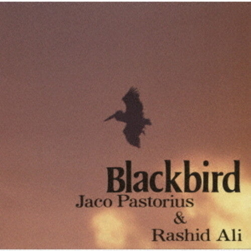 Jaco Pastorius: Blackbirds - COMPACT DISCS