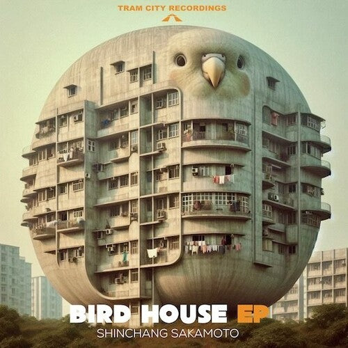 Shinchang Sakamoto: Bird House - 12-INCH SINGLE