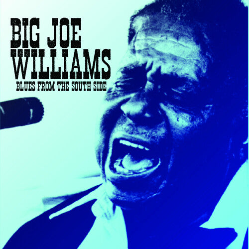 Big Joe Williams: Blues from the South Side - COMPACT DISCS