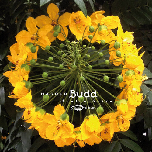 Harold Budd: Avalon Sutra - VINYL LP