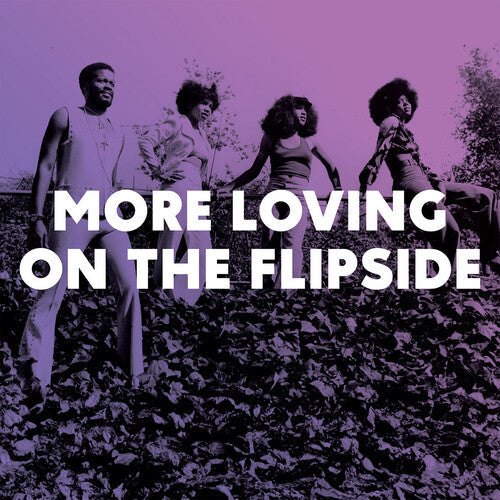 Various Artists: More Loving On The Flipside: Sweet Funk & Beat-Heavy Ballads 1968-1975 (Various Artists) - VINYL LP
