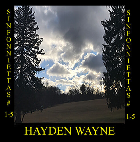 Hayden Wayne: Sinfoniettas # 1-5 - COMPACT DISCS