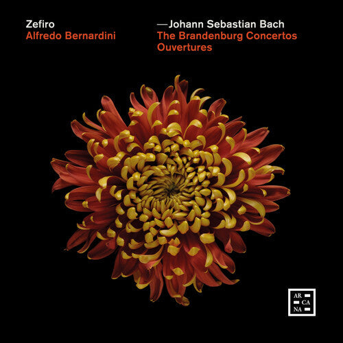 Zefiro: Brandenburg Concertos - Ouvertures - COMPACT DISCS