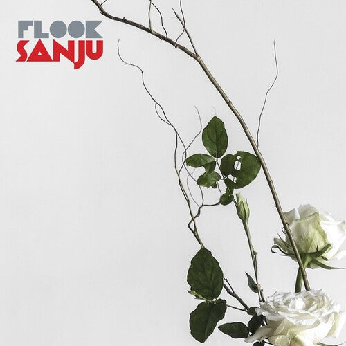 Flook: Sanju - COMPACT DISCS