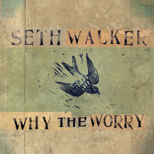 Seth Walker: Why The Worry - COMPACT DISCS