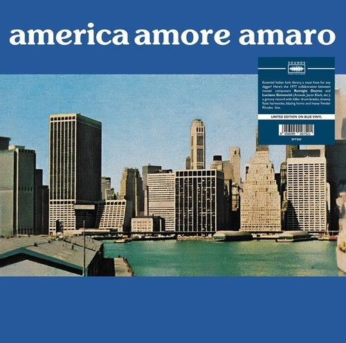 Du Cros, Remigio / Simoncini, Luciano: America Amore Amaro - VINYL LP