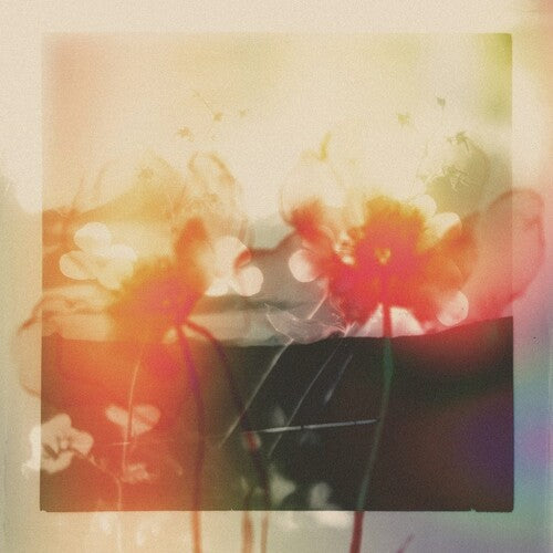 Gyrofield: Akin / Mother - 12-INCH SINGLE