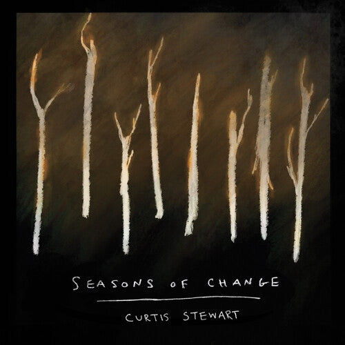 Curtis J Stewart: Seasons Of Change - COMPACT DISCS