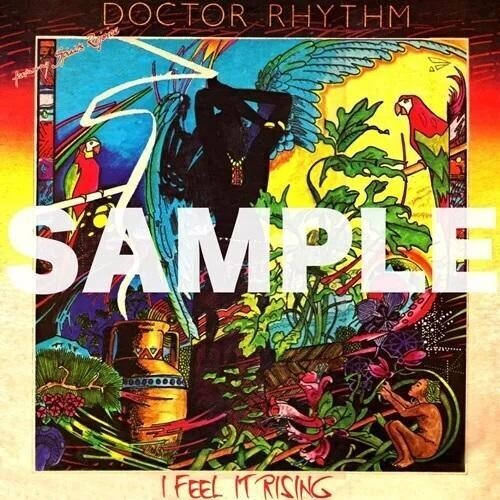 Doctor Rhythm: I Feel It Rising - VINYL LP