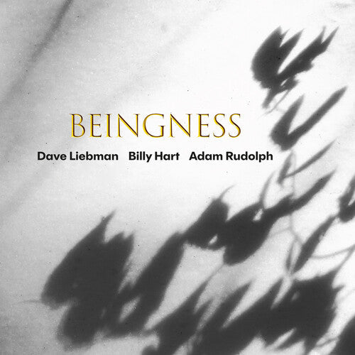 Dave Liebman: Beingness - COMPACT DISCS