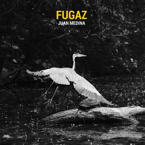 Juan Medina: Fugaz - VINYL LP