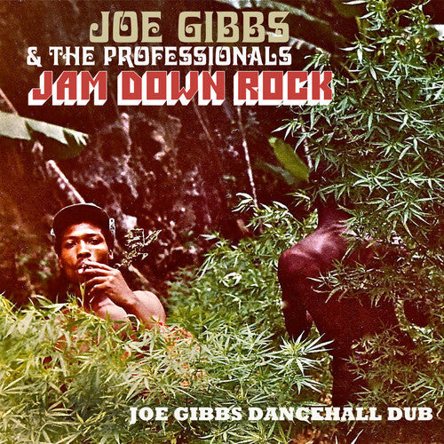 Joe Gibbs & the Professionals: Jam Down Rock: Joe Gibbs Dancehall Dub - COMPACT DISCS
