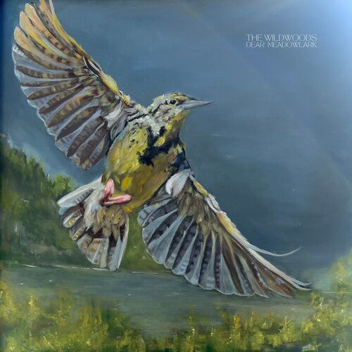 The Wildwoods: Dear Meadowlark - VINYL LP