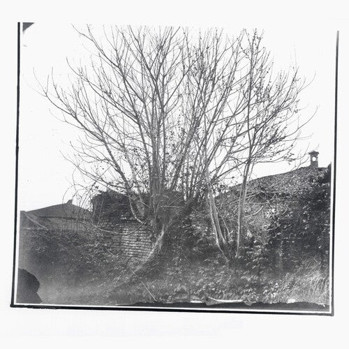 Siavash Amini: Caligo - COMPACT DISCS