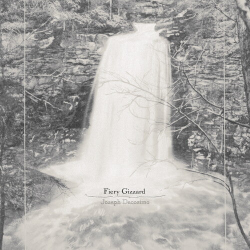 Joseph Decosimo: Fiery Gizzard - VINYL LP