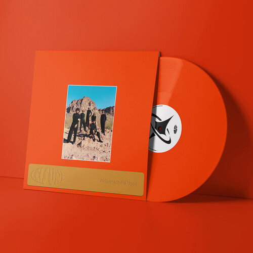 Leisure: Welcome to the Mood - VINYL LP