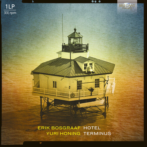 Erik Bosgraaf: Hotel Teminus - VINYL LP
