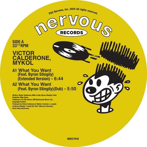 Victor Calderone: What You Want - 12-INCH SINGLE