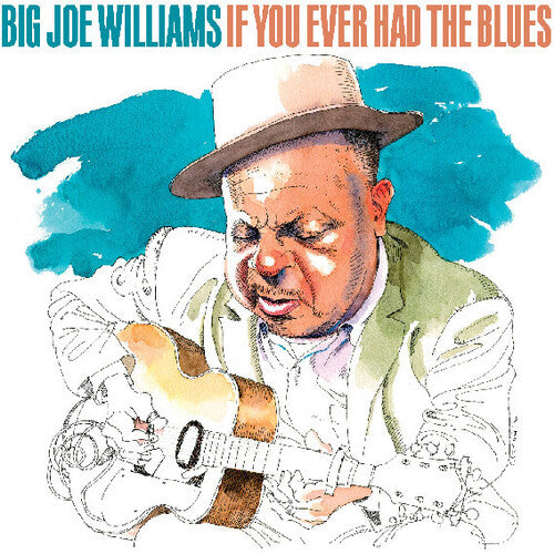 Big Joe Williams: If You Ever Had The Blues - COMPACT DISCS