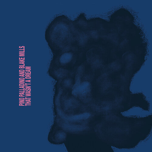 Pino Palladino & Blake Mills: That Wasn't A Dream - COMPACT DISCS