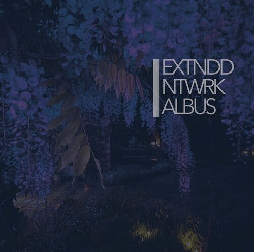 Extnddntwrk: Albus - VINYL LP