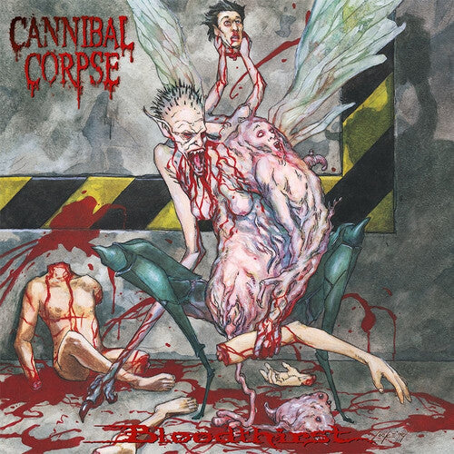 Cannibal Corpse: Bloodthirst - COMPACT DISCS