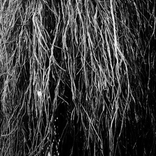 Eraldo Bernocchi: Nocturnal Rainforest - VINYL LP