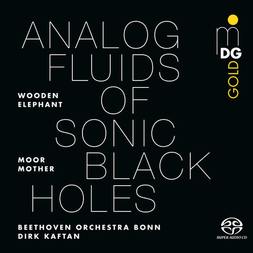 Moor Mother: Analog Fluids of Sonic Black Holes - VINYL LP