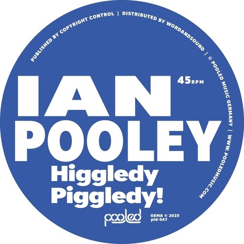 Ian Pooley: Higgledy Piggledy! - 12-INCH SINGLE