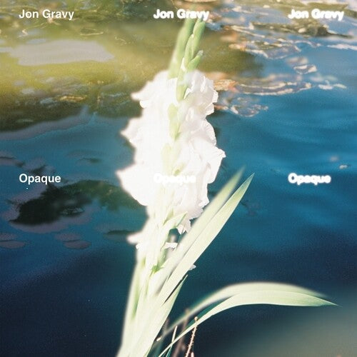 Jon Gravy: Opaque - VINYL LP