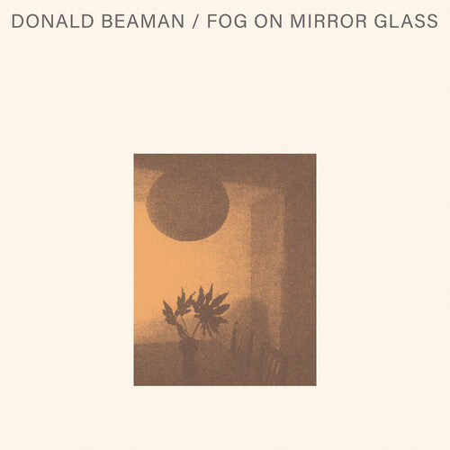 Donald Beaman: Fog On Mirror Glass - VINYL LP