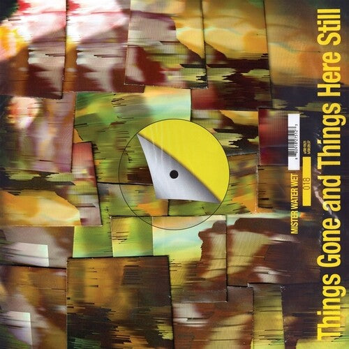 Mister Water Wet: Things Gone and Things Here Still - VINYL LP