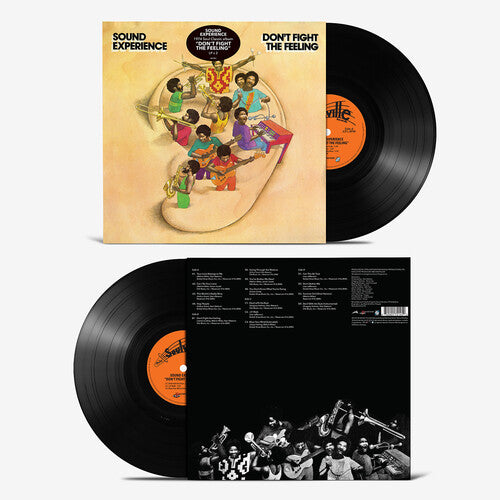 Sound Experience: Don't Fight the Feeling - VINYL LP