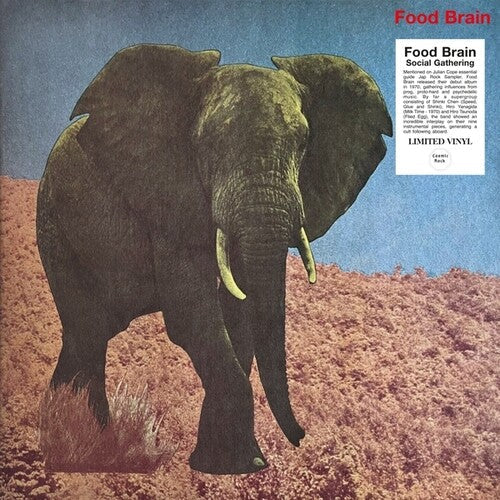 Foodbrain: Social Gathering - VINYL LP