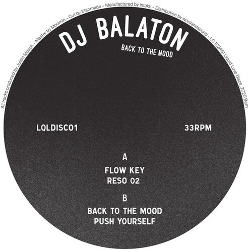 DJ Balaton: Back To The Mood - 12-INCH SINGLE