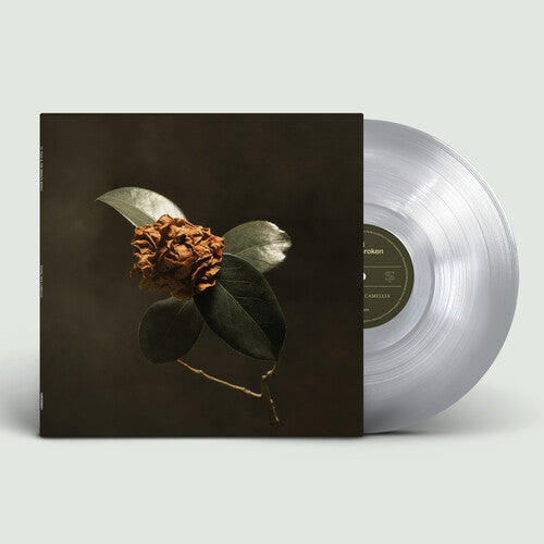 St. Paul & the Broken Bones: Young Sick Camellia - VINYL LP