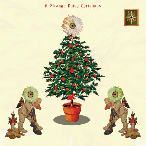 Various Artists: A Strange Daisy Christmas (Various Artists) - COMPACT DISCS