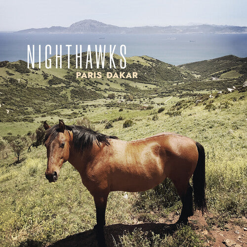 The Nighthawks: Paris Dakar - COMPACT DISCS